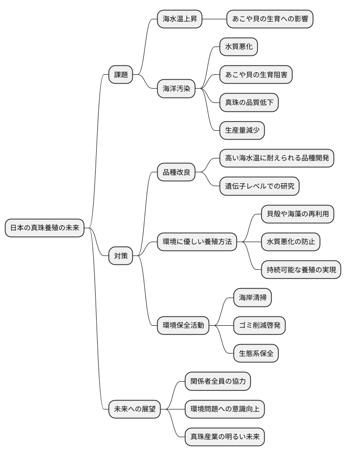 未来への展望
