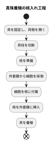 核入れの手順