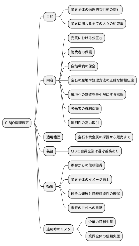 倫理規定