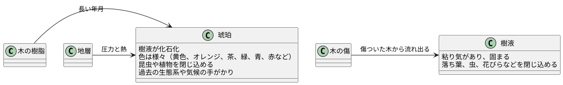 樹液が化石へと変わるまで