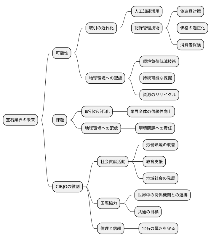 将来の展望