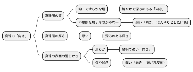 真珠の向き