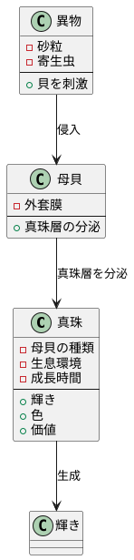 母貝と真珠の関係