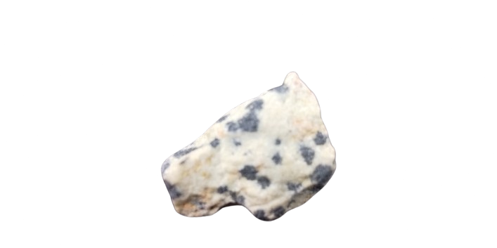 Dalmatian Jasper